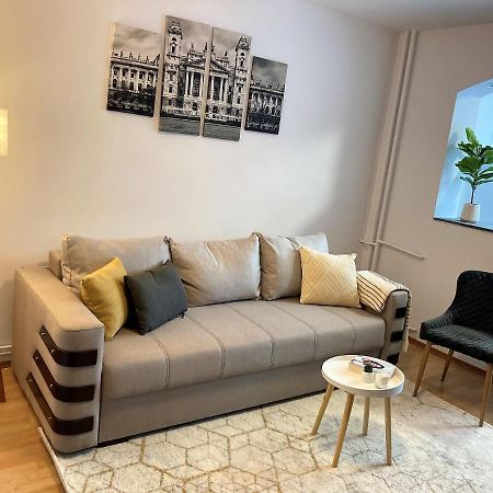 Lovely Apartment In A Quiet Area Κλουζ-Ναπόκα Εξωτερικό φωτογραφία